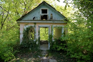 An old abandoned house overgrown with